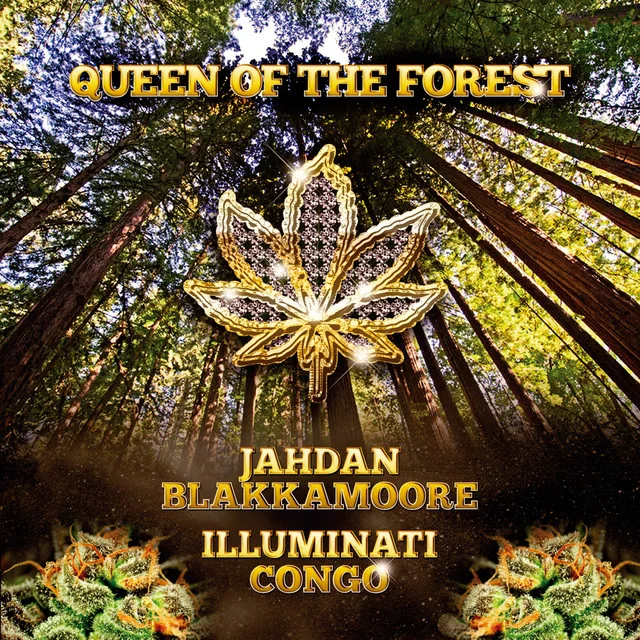 Jahdan Blakkamoore