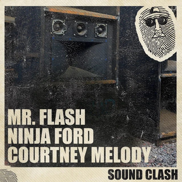 Ninja Ford
